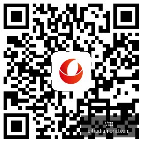 宇树科技股,价暴跌,是偶然还是,V体育,V体育平台,V体育注册,V体育登录